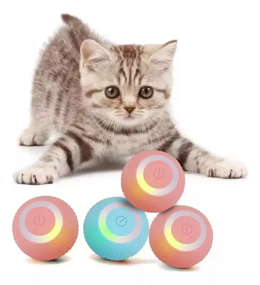 PELOTA INTELIGENTE PARA GATOS CON USB C